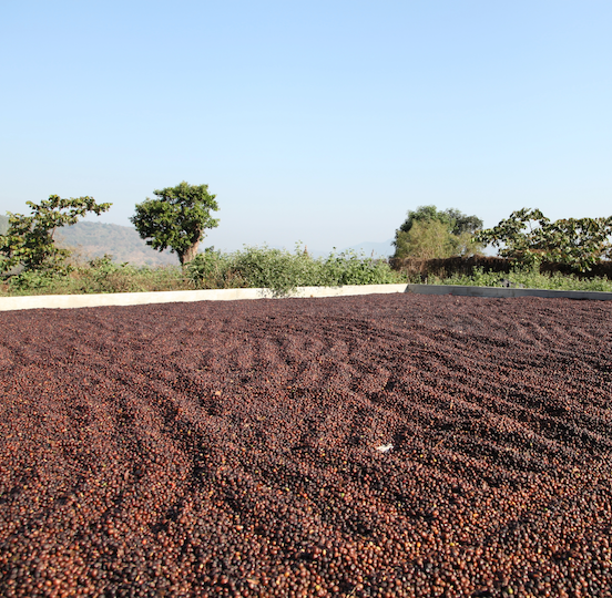 GUATEMALA - AMATITLAN - EL XALUM