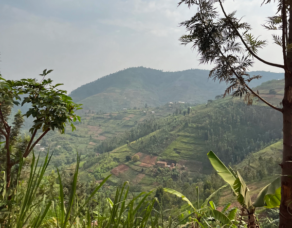 Mbilima, Rwanda — honey bio, coopérative Dukunde Kawa