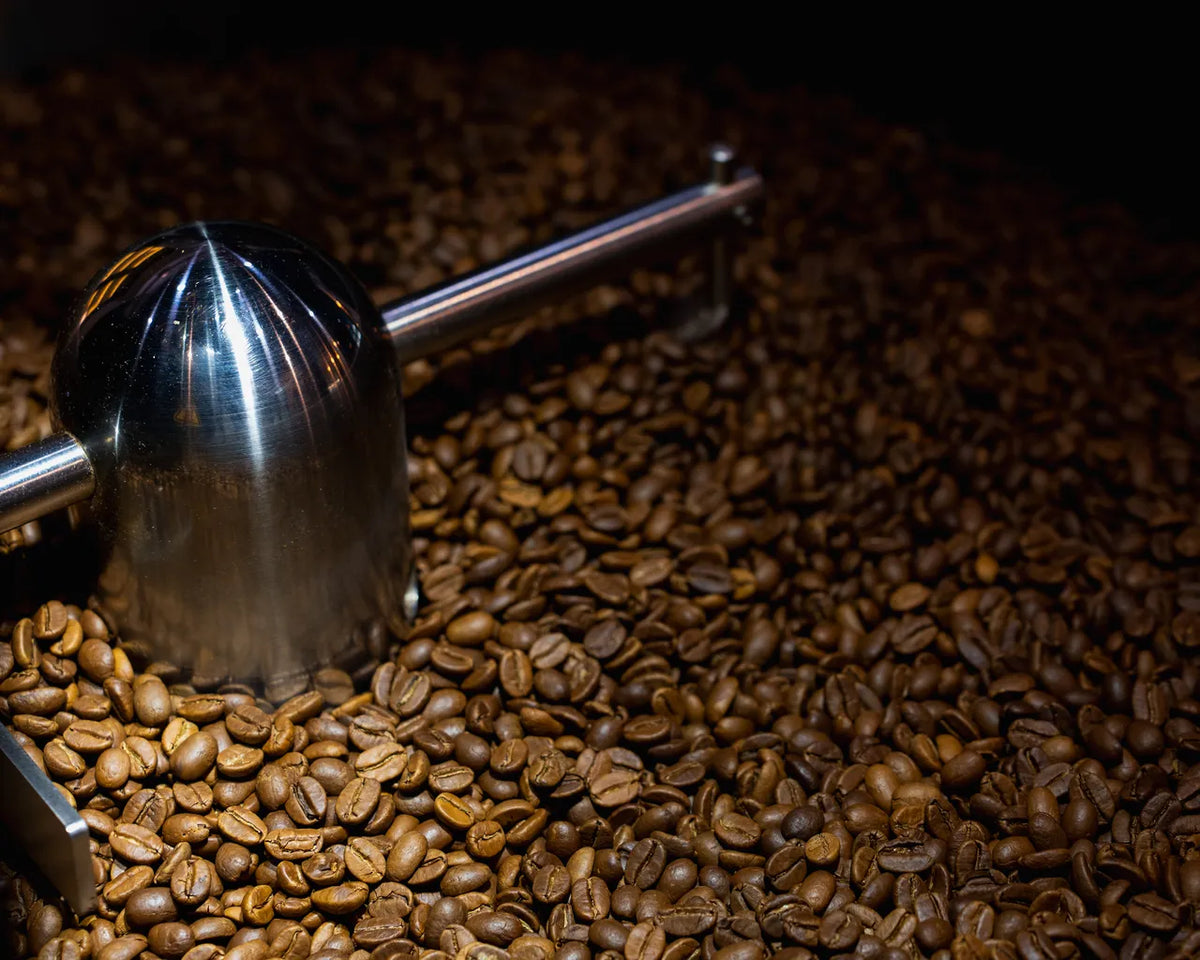 Grains de café en refroidissement dans le torréfacteur