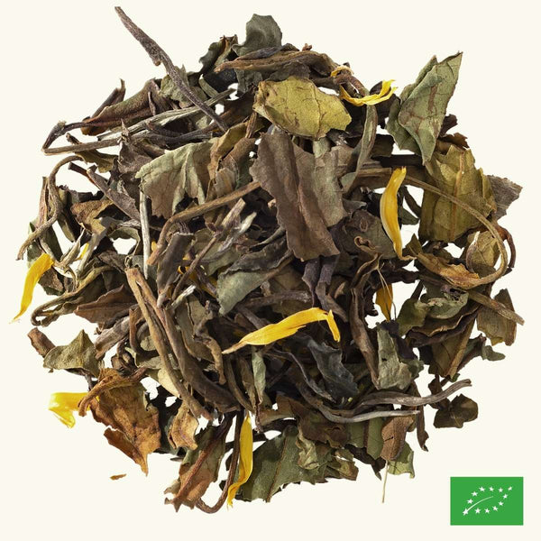 Pavillon Blanc - boite 50g - BIO