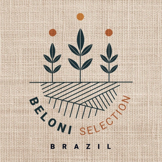 BRÉSIL - CERRADO MINEIRO - BELONI