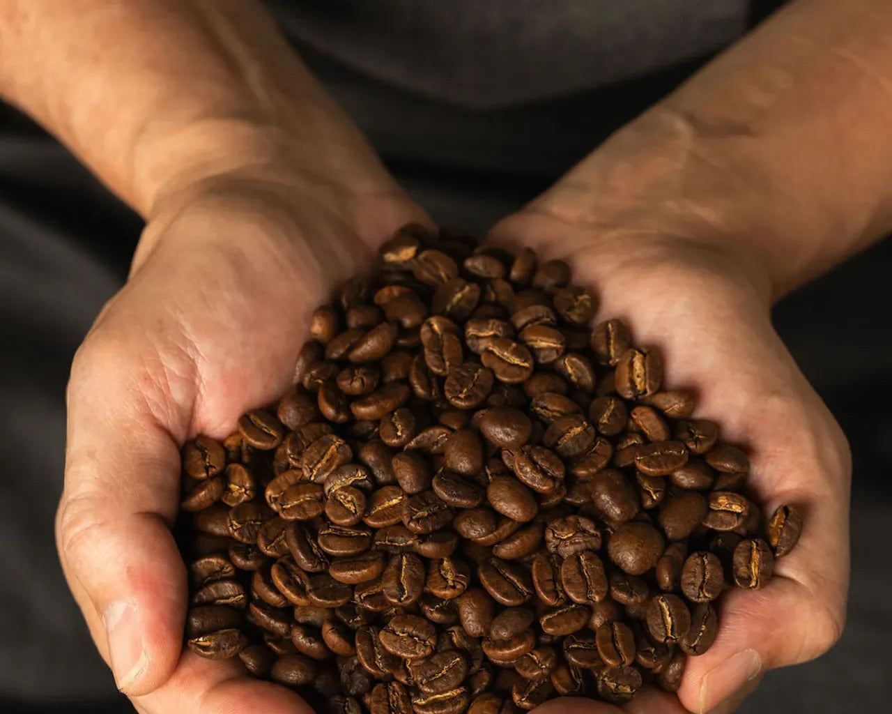 Grains de café de spécialité dans les mains du torréfacteur