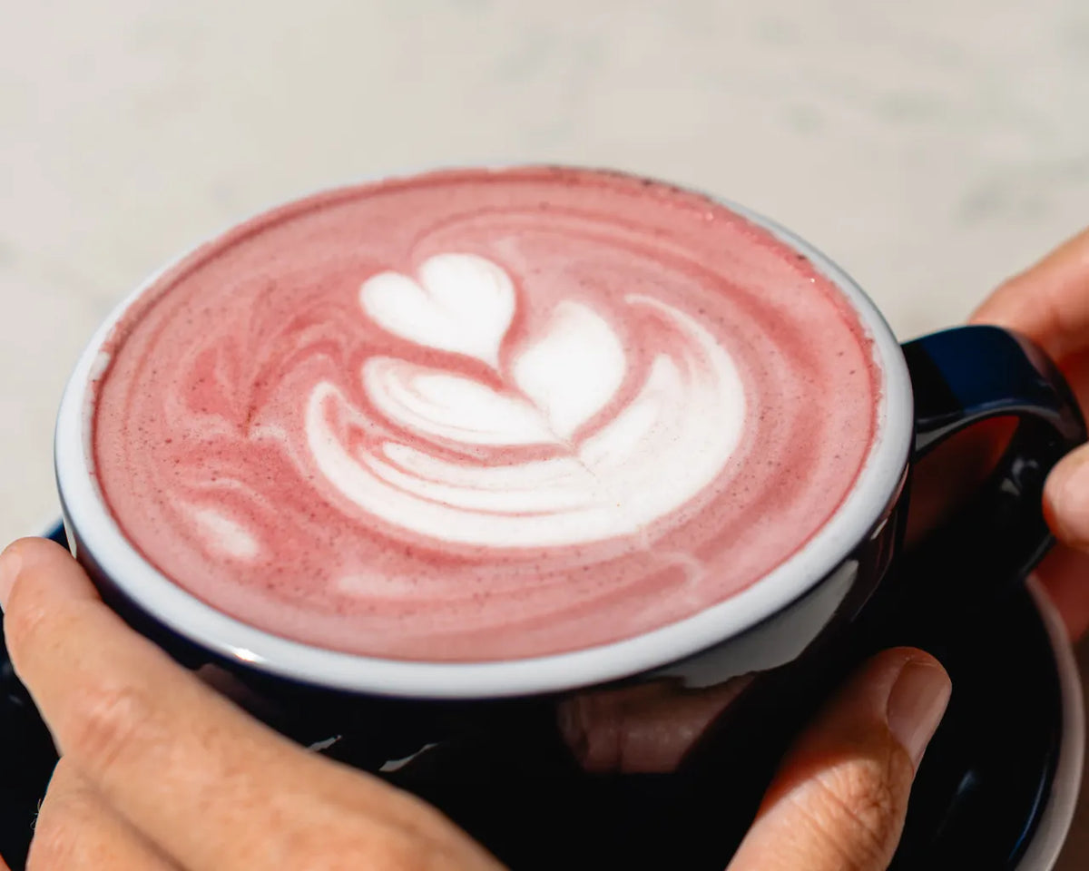 Latte art servi pendant une formation
